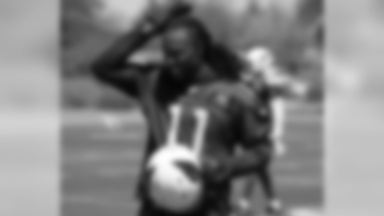 WR Larry Fitzgerald