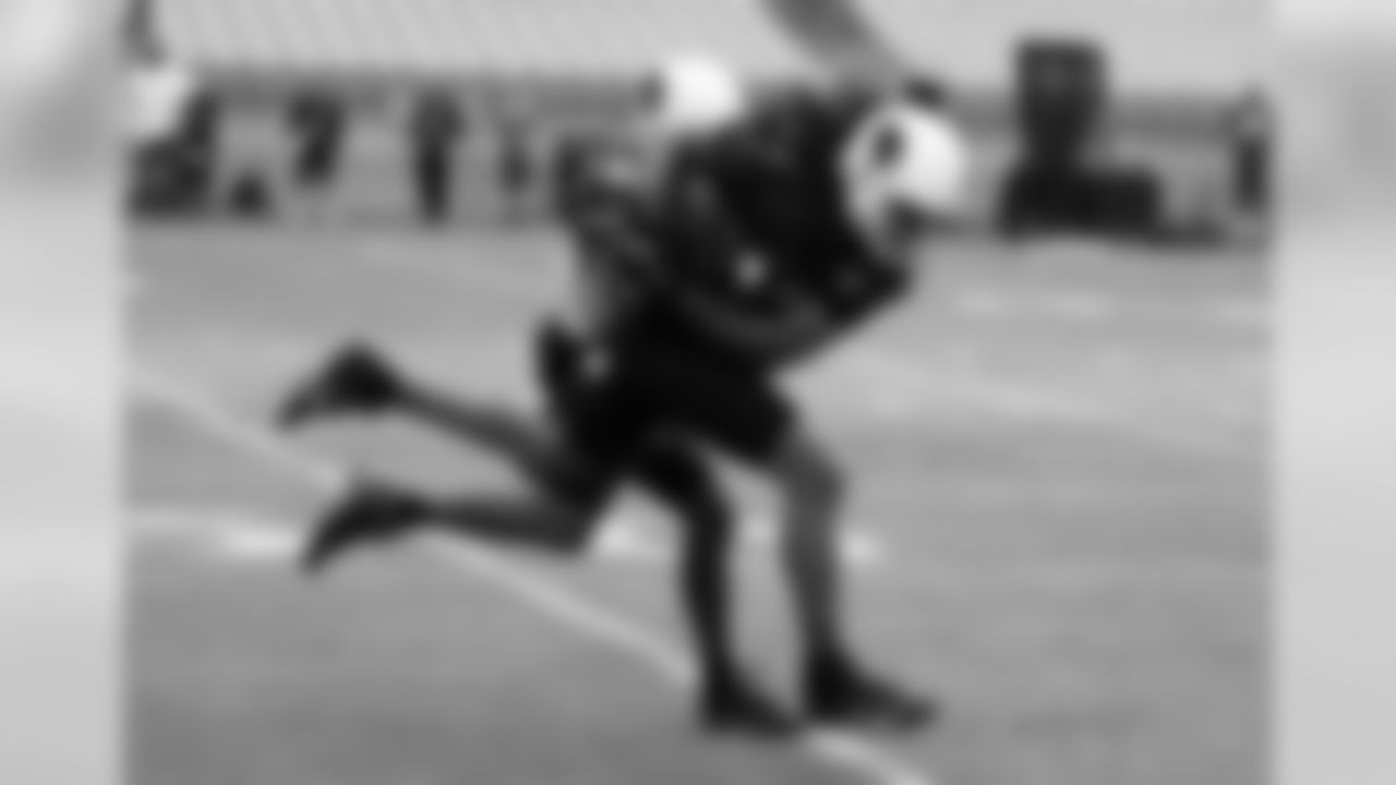 WR Larry Fitzgerald