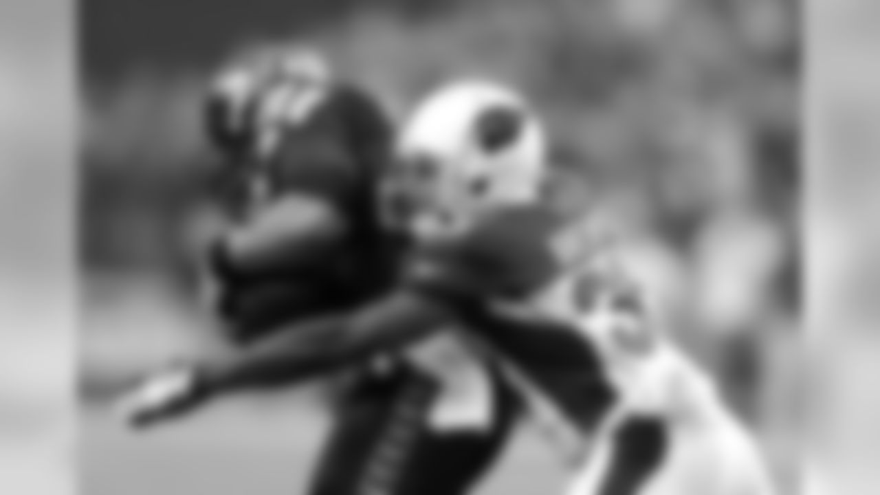 CB Javier Arenas: One sack