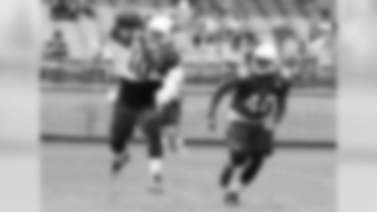 WR Brittan Golden makes the grab