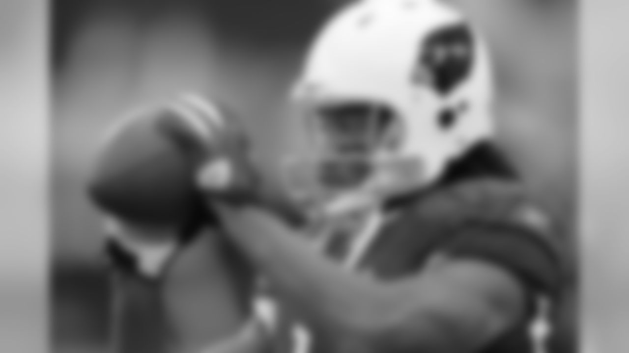 Cardinals vs Panthers