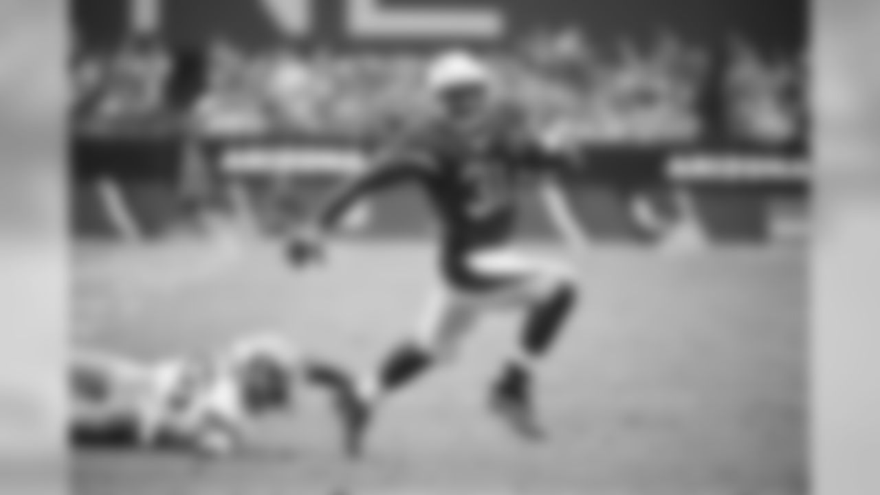 RB David Johnson