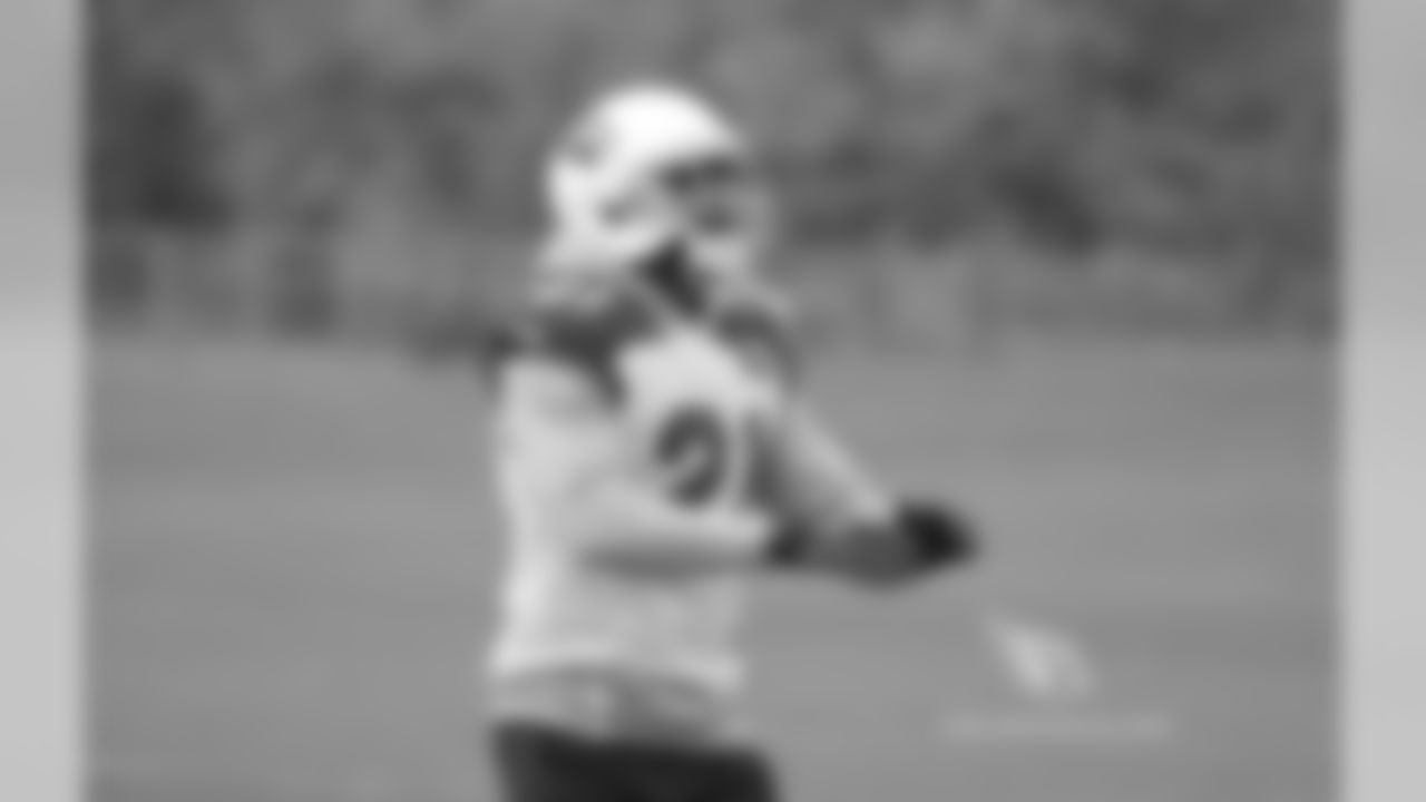 CB Patrick Peterson