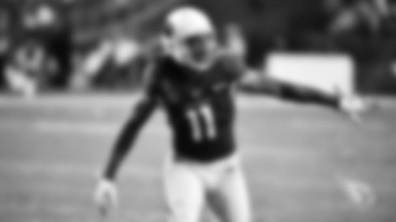 WR Larry Fitzgerald