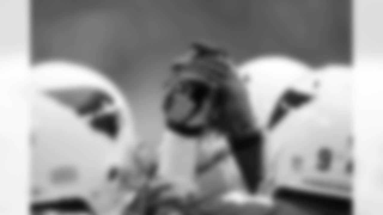 Team breakdown