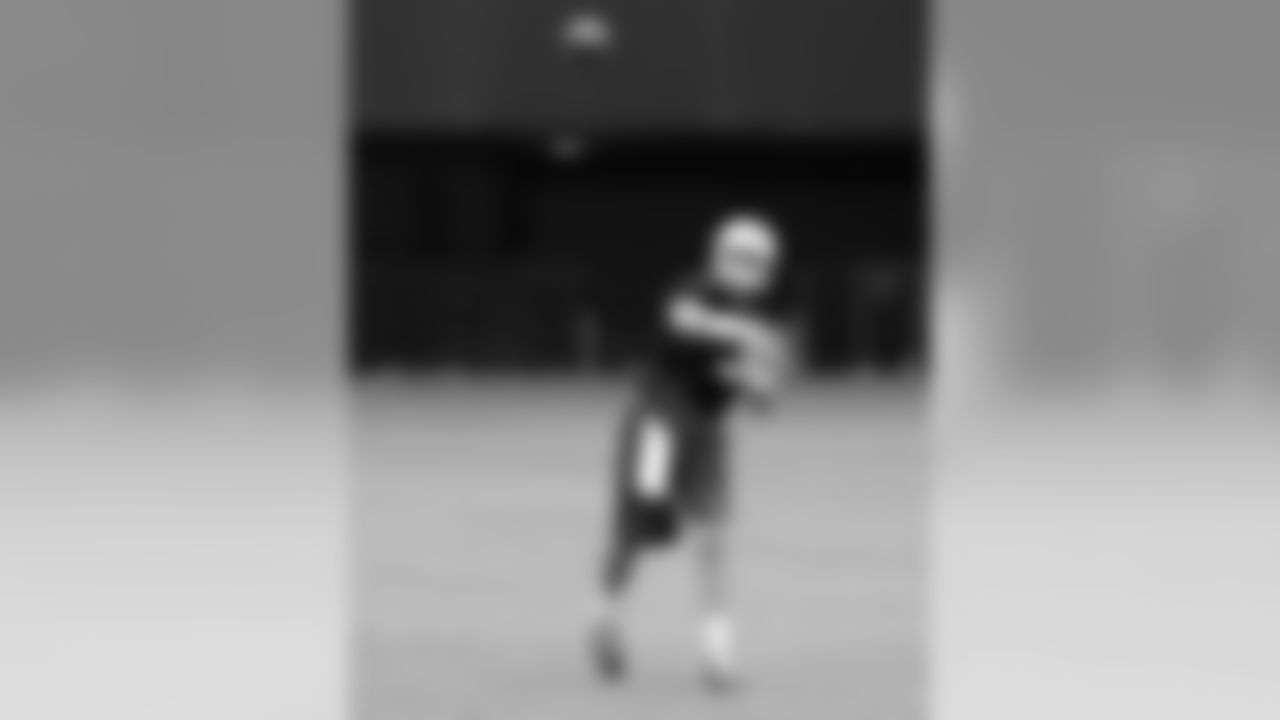 QB Carson Palmer unleashes a throw