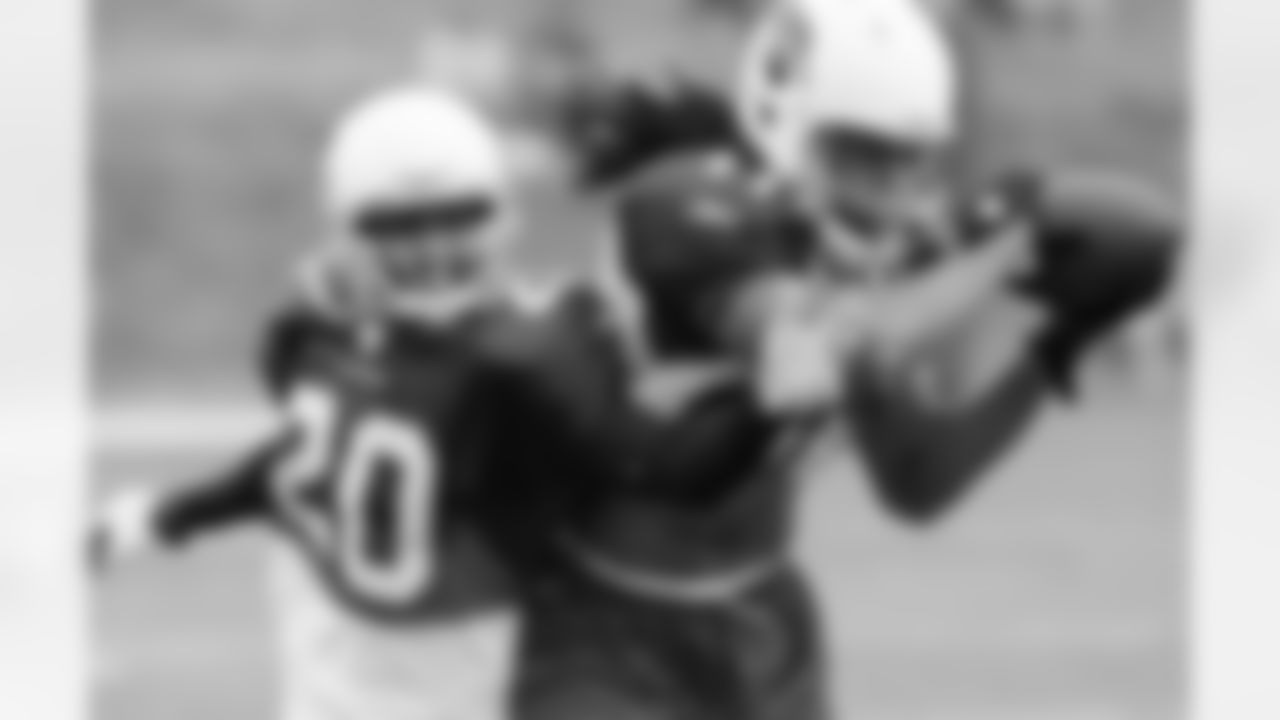 CB Ralph Brown and WR Larry Fitzgerald, Photo by Peter Vander Stoep