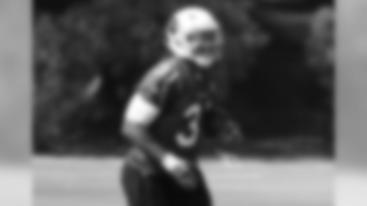RB David Johnson
