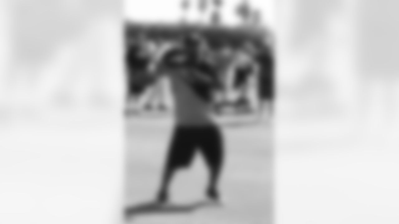 Anquan Boldin