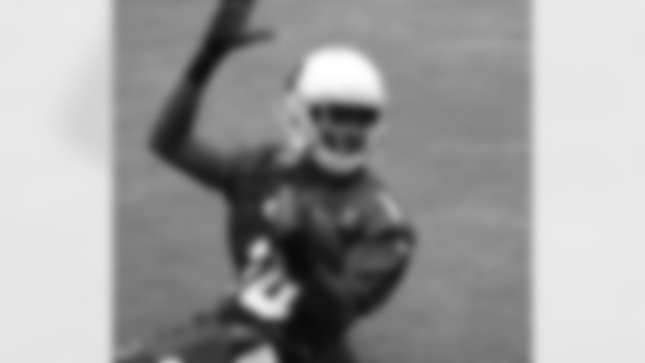 WR J.J. Nelson