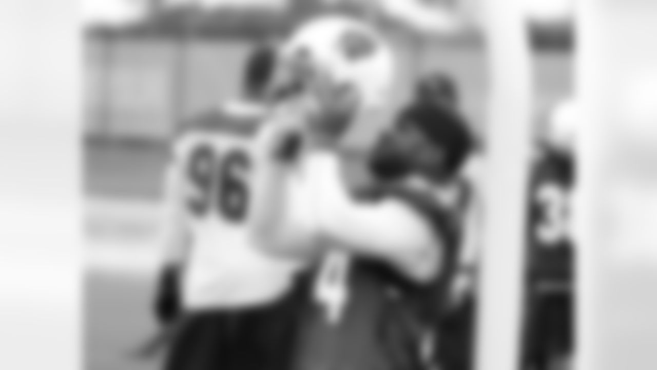 RB Ryan Williams