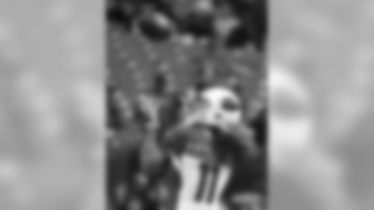 WR Larry Fitzgerald