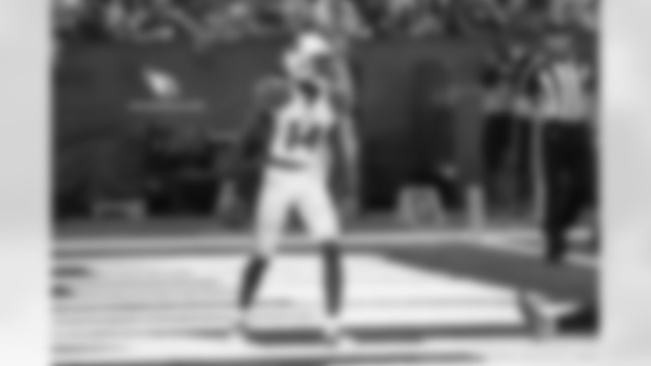 WR J.J. Nelson