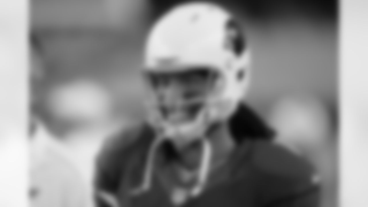 WR Larry Fitzgerald