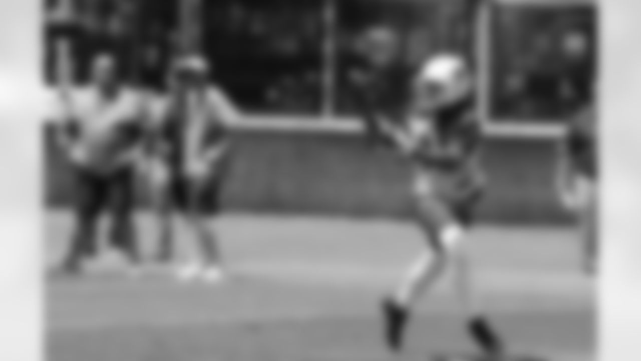 WR Larry Fitzgerald
