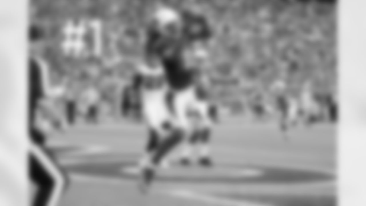 Larry Fitzgerald catches a touchdown pass from Carson Palmer.