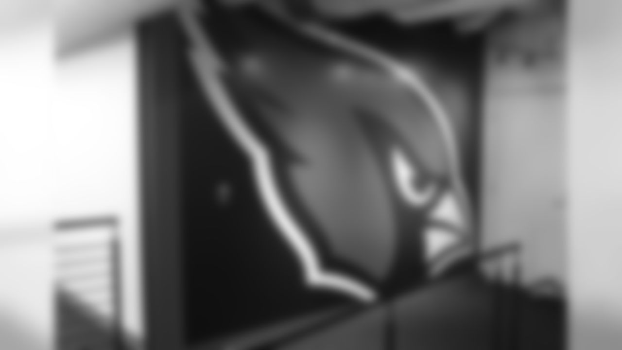 The bird head