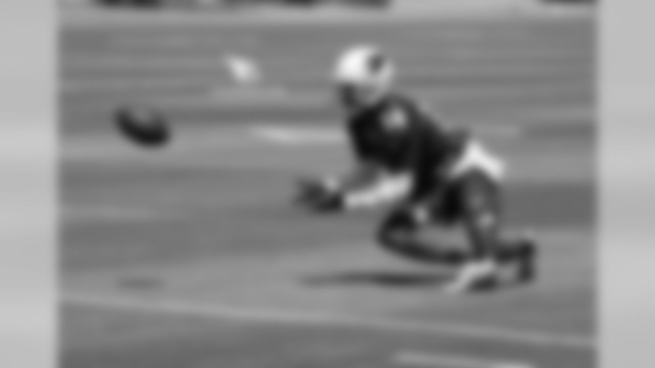 WR J.J. Nelson