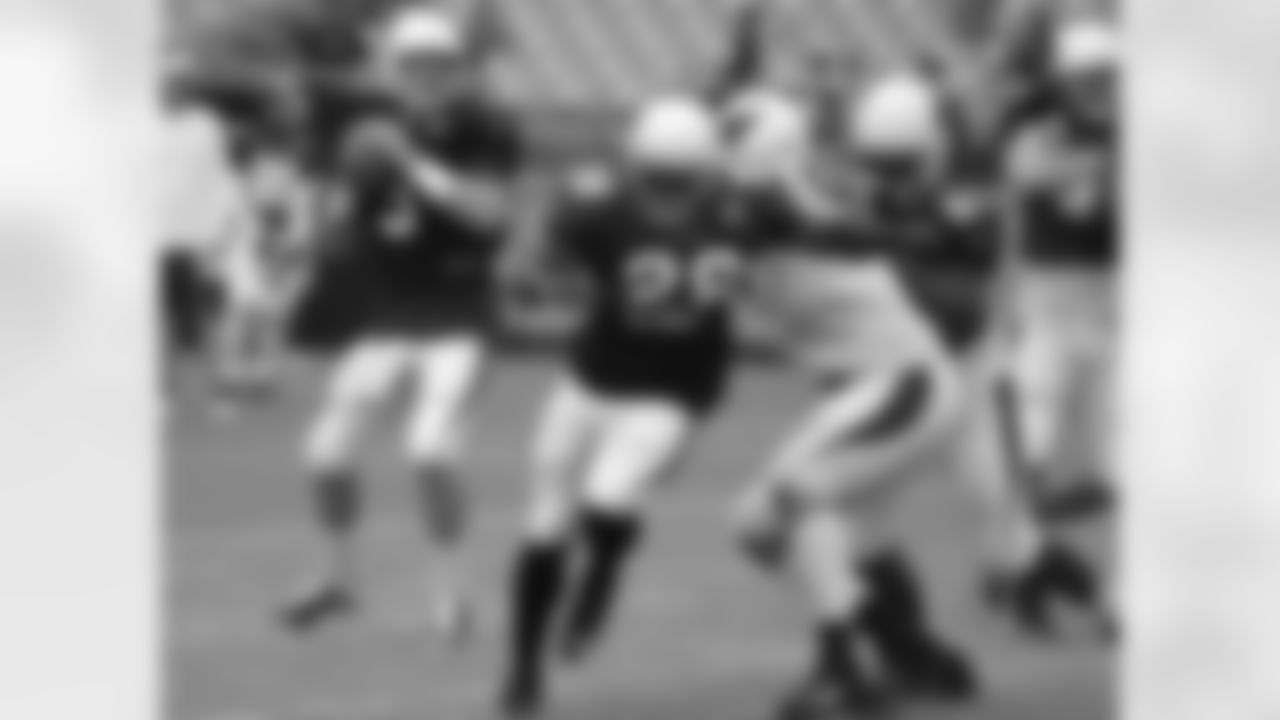 QB Carson Palmer back to pass