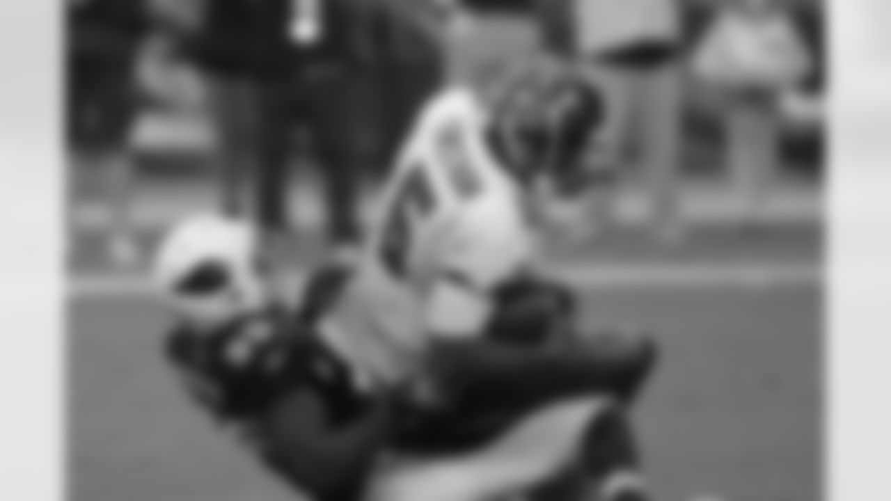 Joey Porter 2010