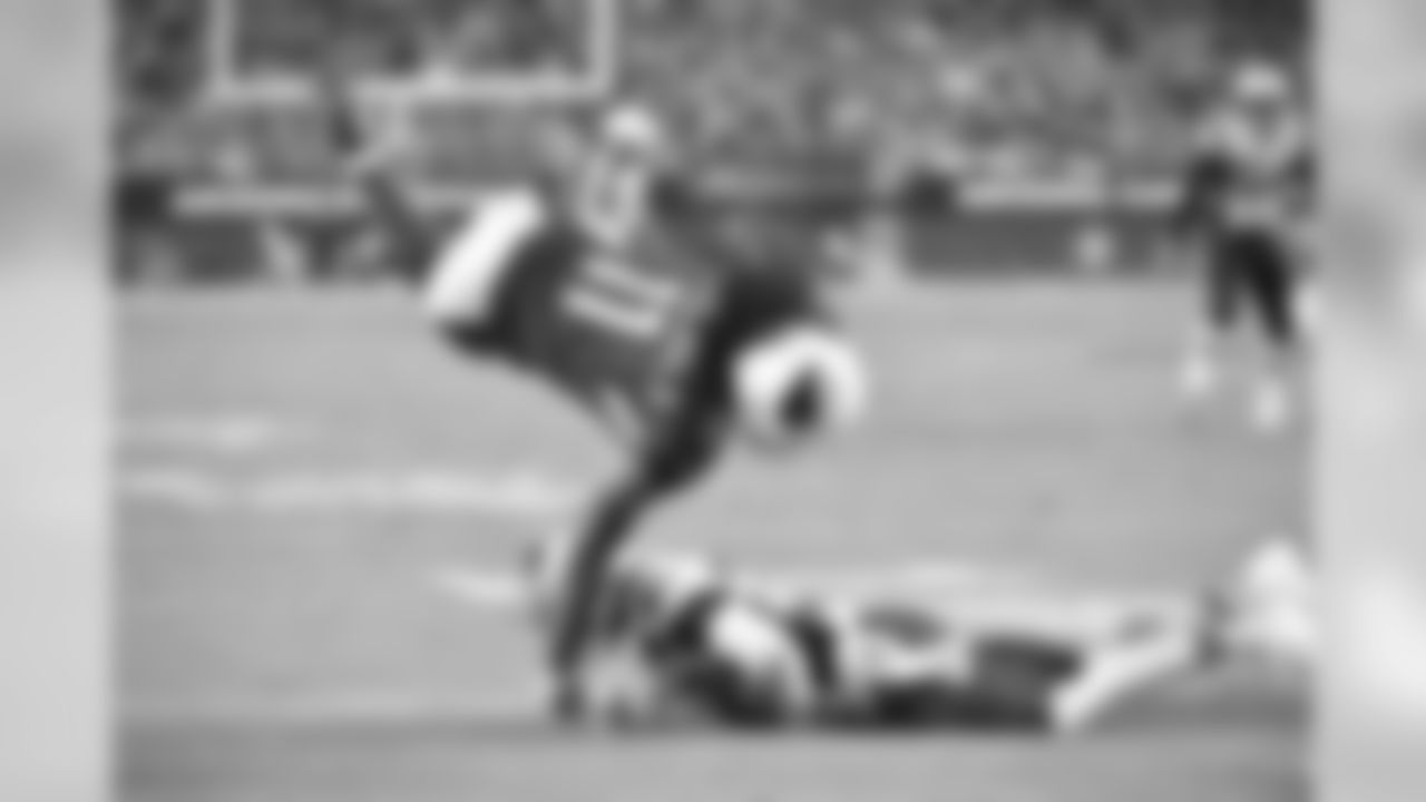 WR Larry Fitzgerald