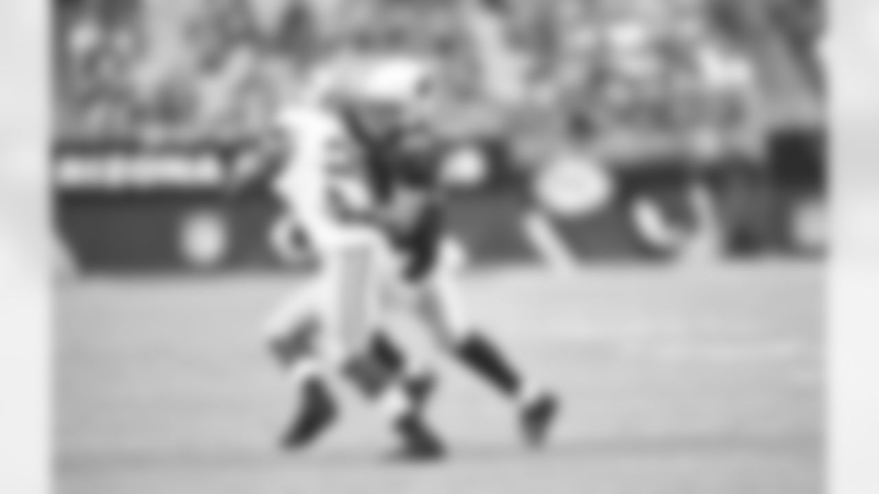 S Rashad Johnson: 19 tackles, sack, fumble recovery