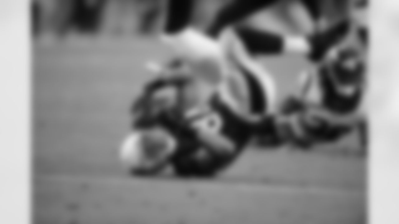 TE Rob Housler: 39 rec., 454 yards, TD