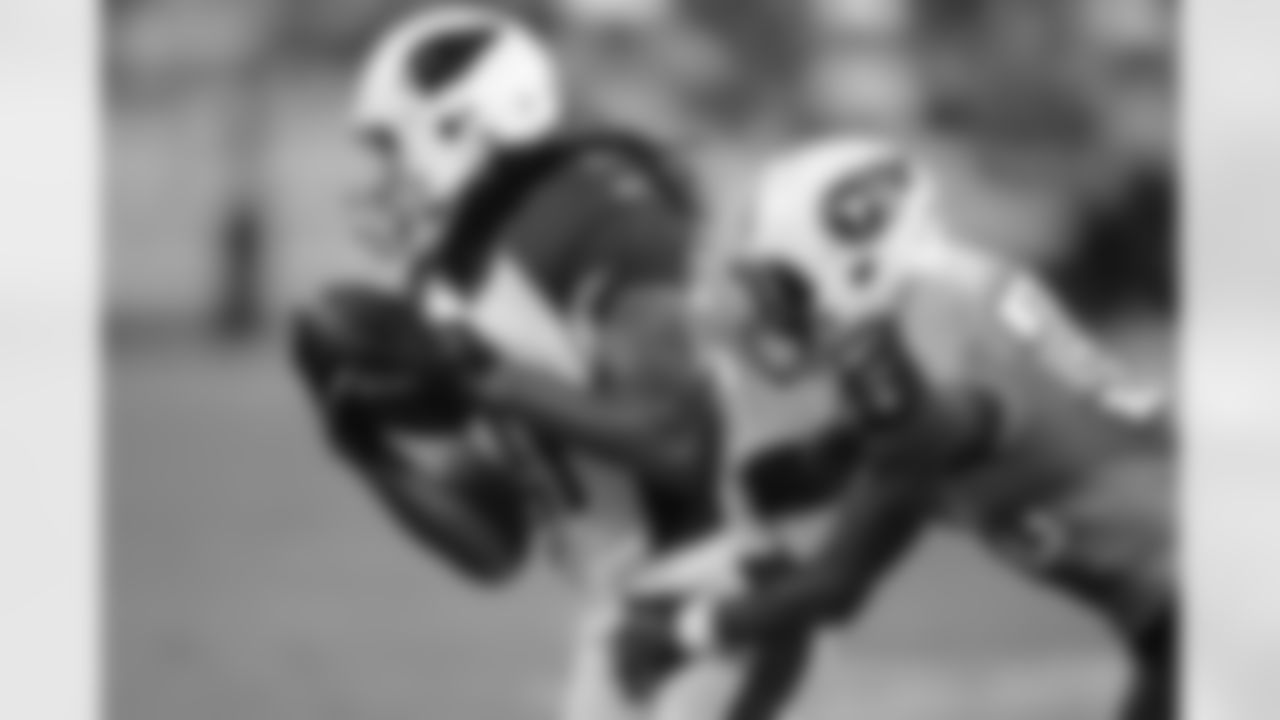 WR Larry Fitzgerald