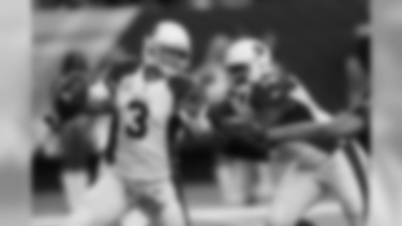 QB Carson Palmer drops back