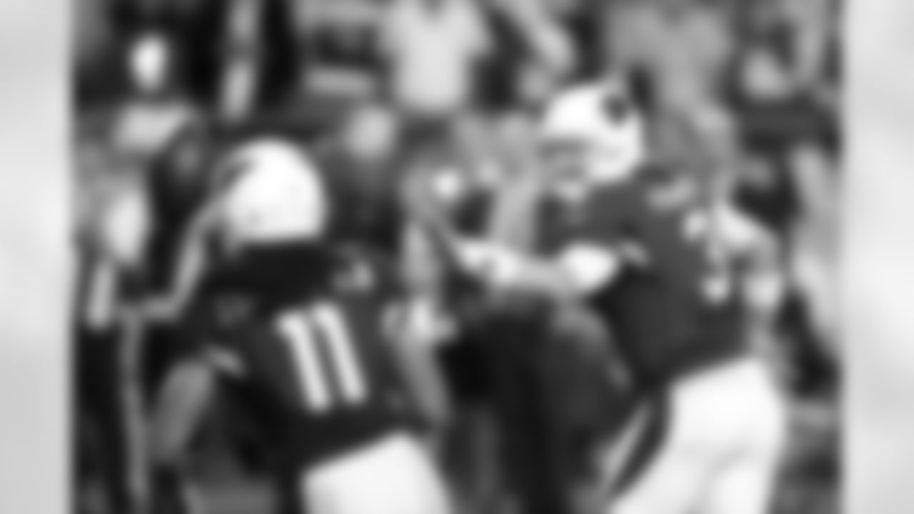 vs. Packers 2015 Divisional Round