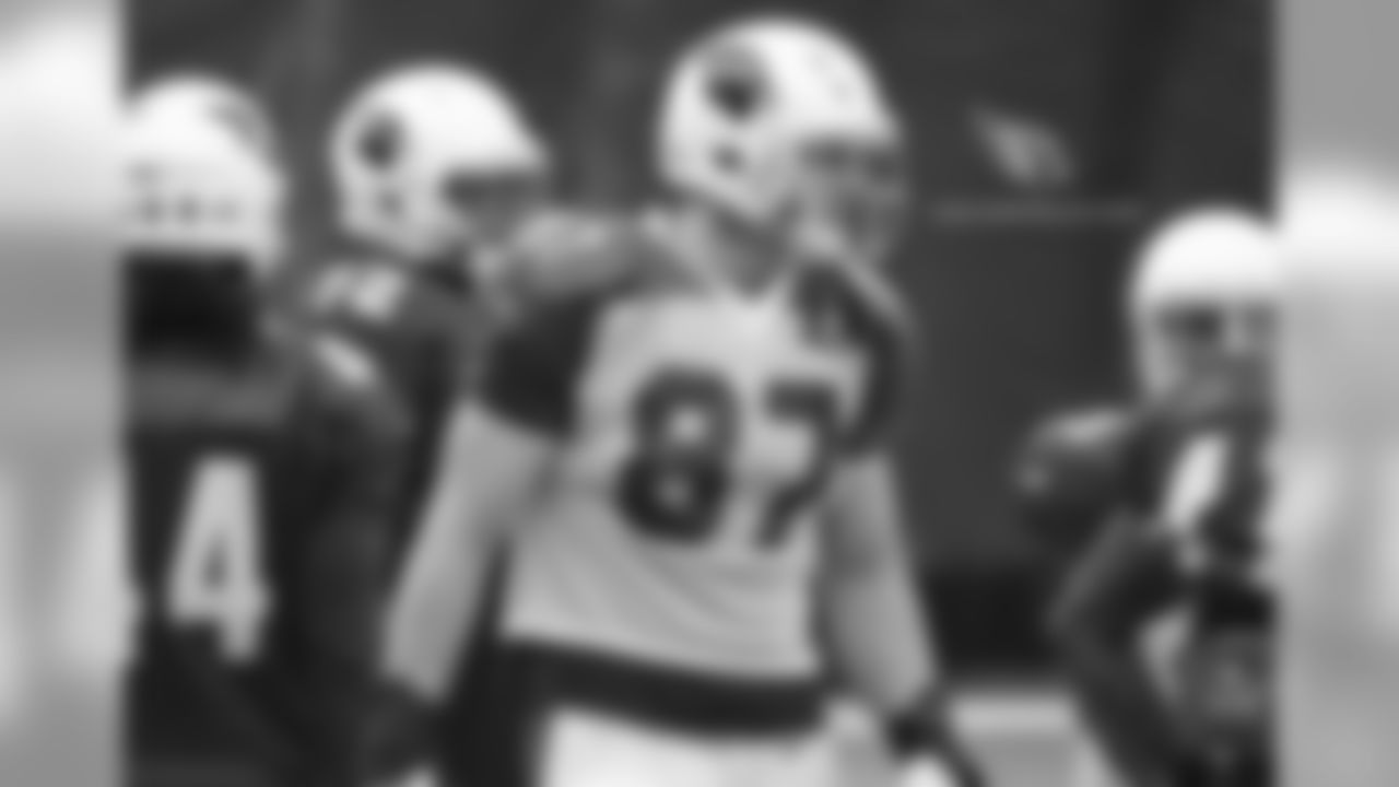 TE Troy Niklas