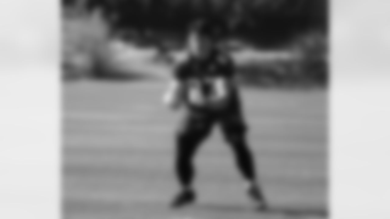 TE Troy Niklas