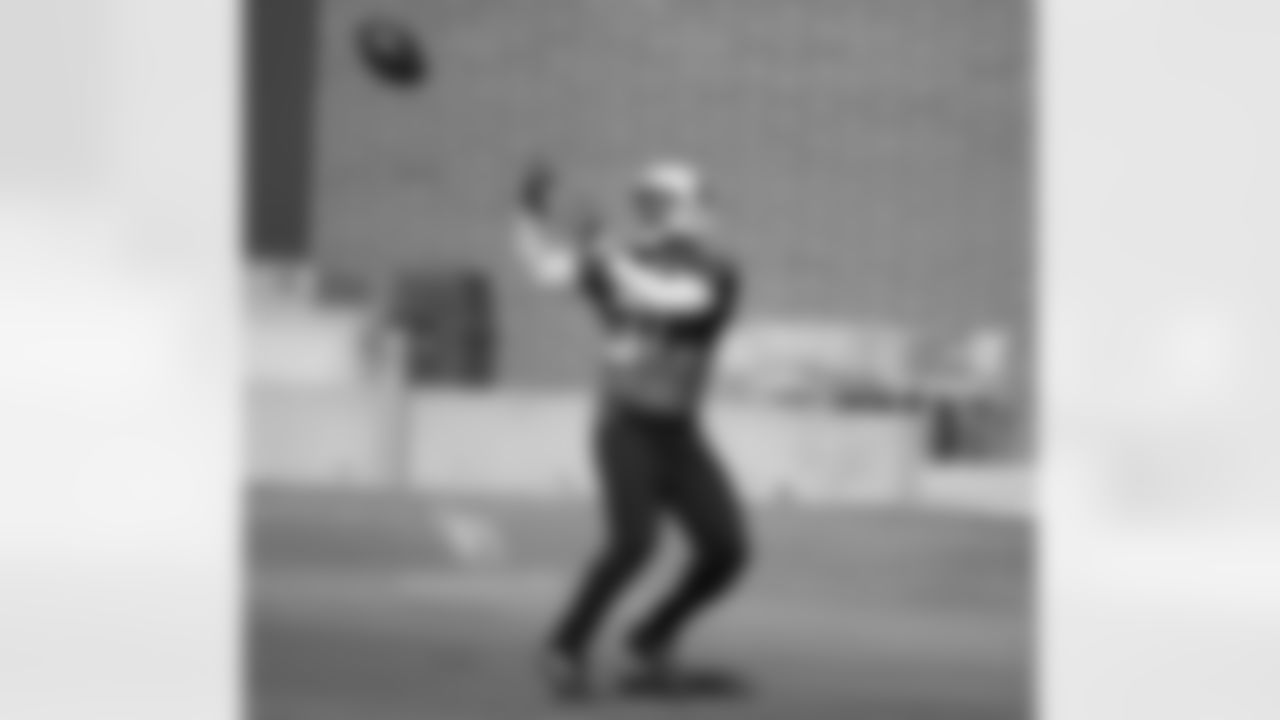 RB David Johnson