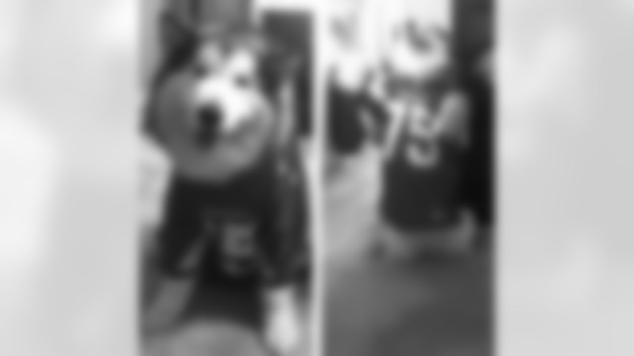 Roxi