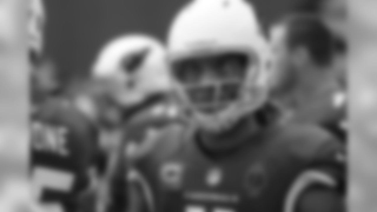 WR Larry Fitzgerald