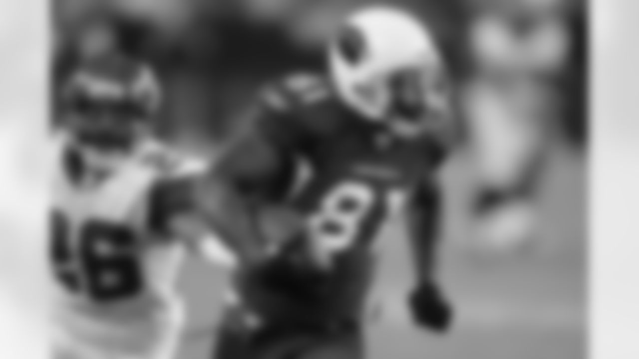 Anquan Boldin 2008