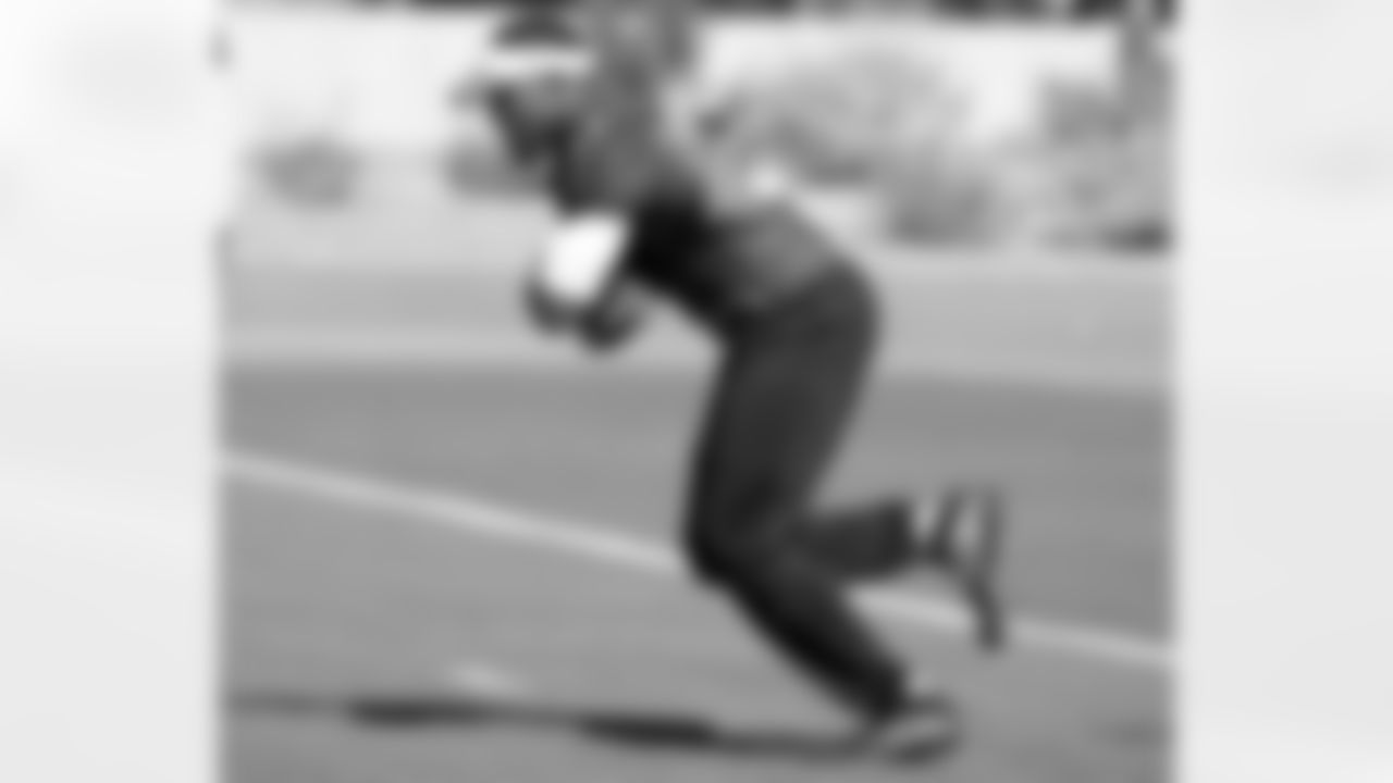 RB David Johnson