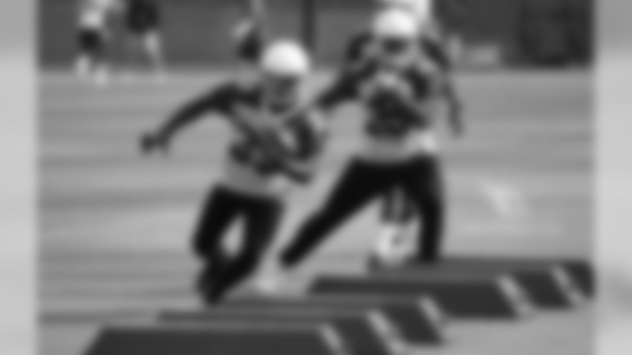 RB Kerwynn Williams (left) and RB Elijhaa Penny