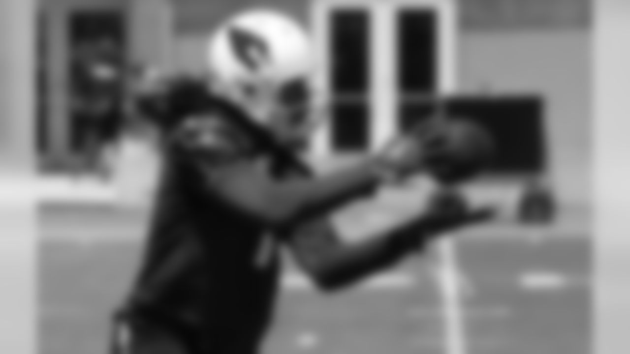 WR Larry Fitzgerald