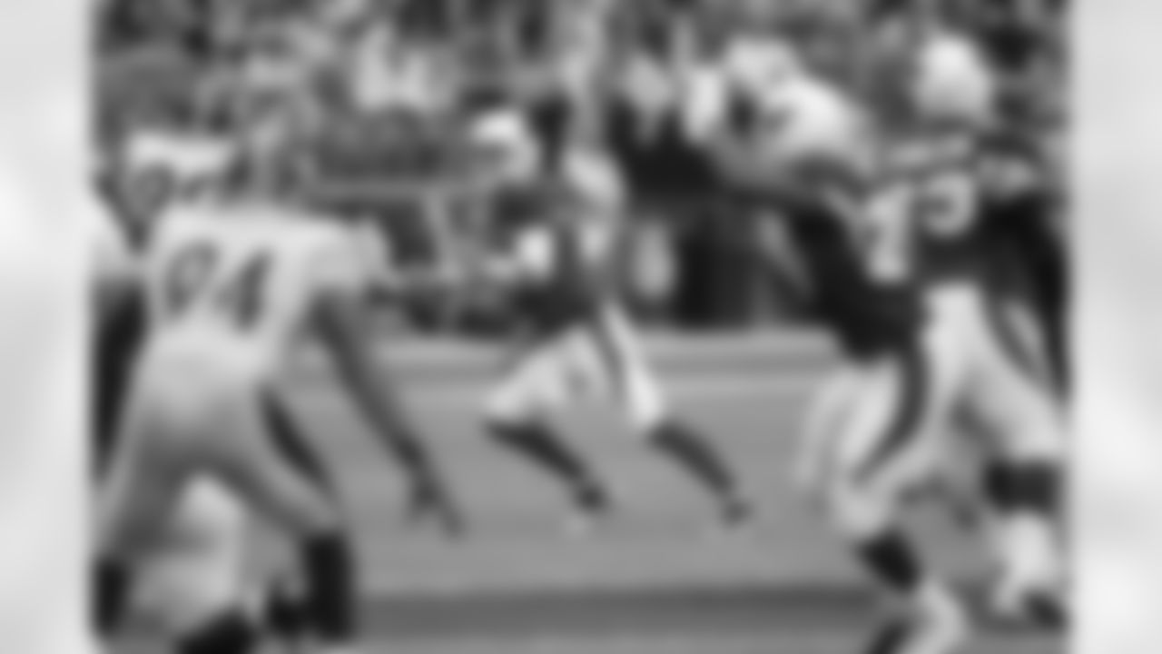 Kolb scanning the field