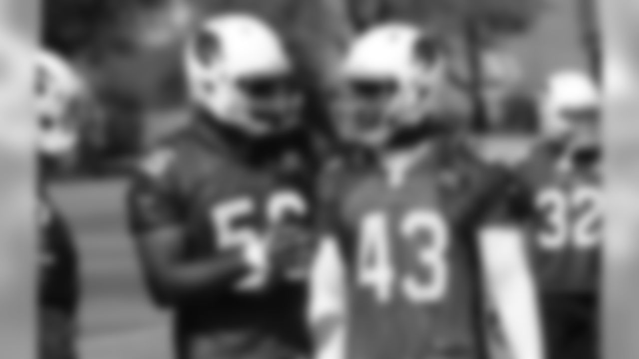 LBs Karlos Dansby and Haason Reddick