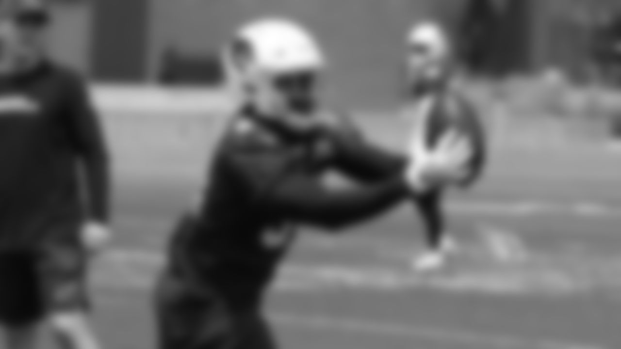 RB David Johnson