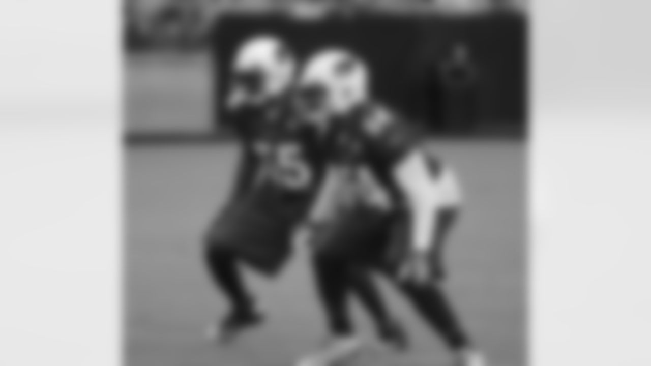 Inside linebackers Karlos Dansby (55) and Jasper Brinkley