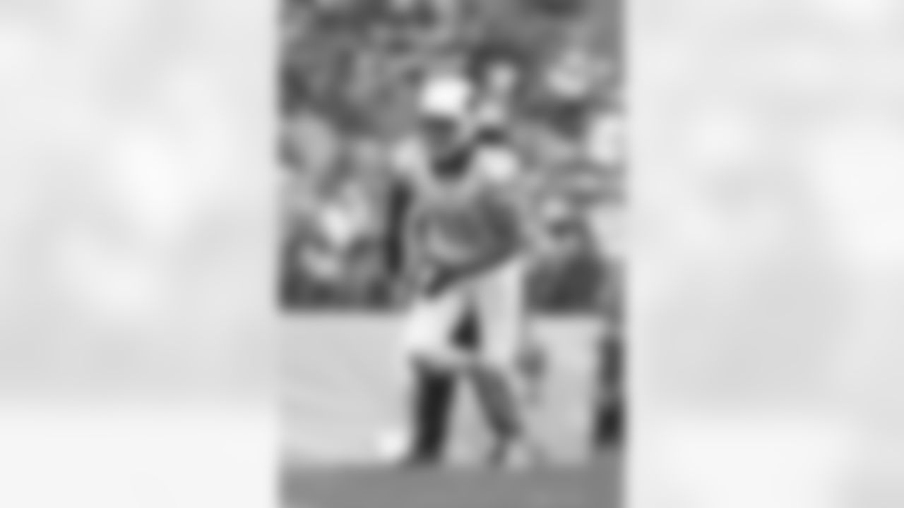 WR Larry Fitzgerald in 2014