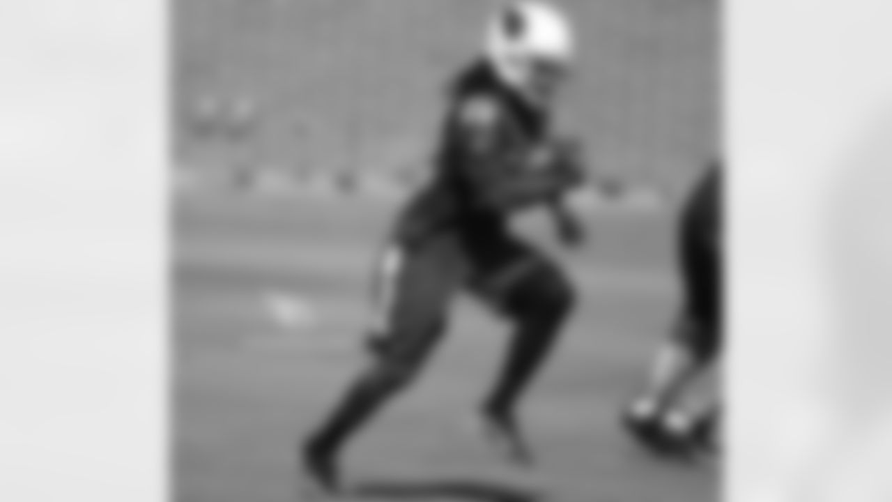 RB Chris Johnson