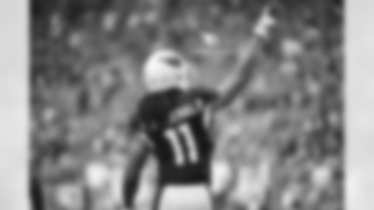 WR Larry Fitzgerald