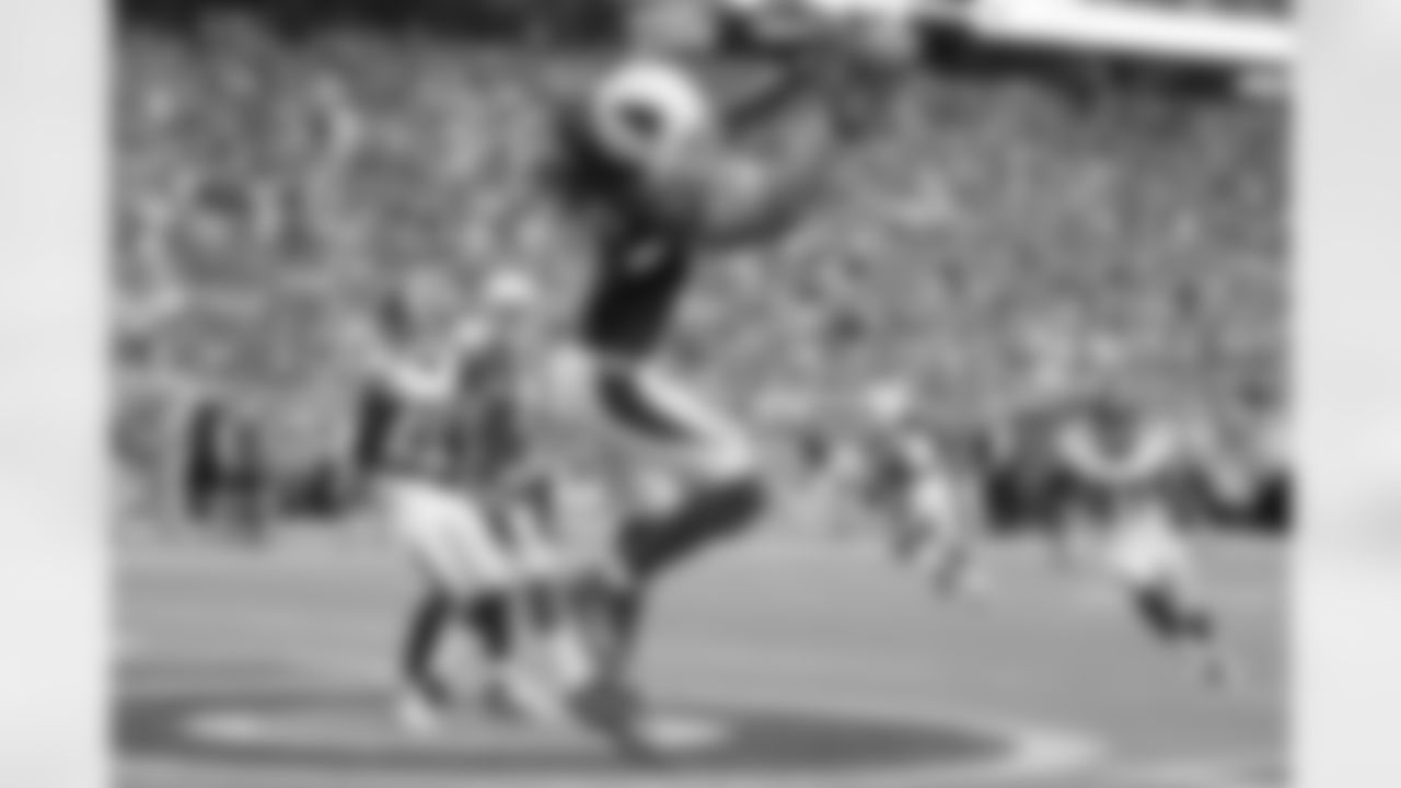WR Larry Fitzgerald