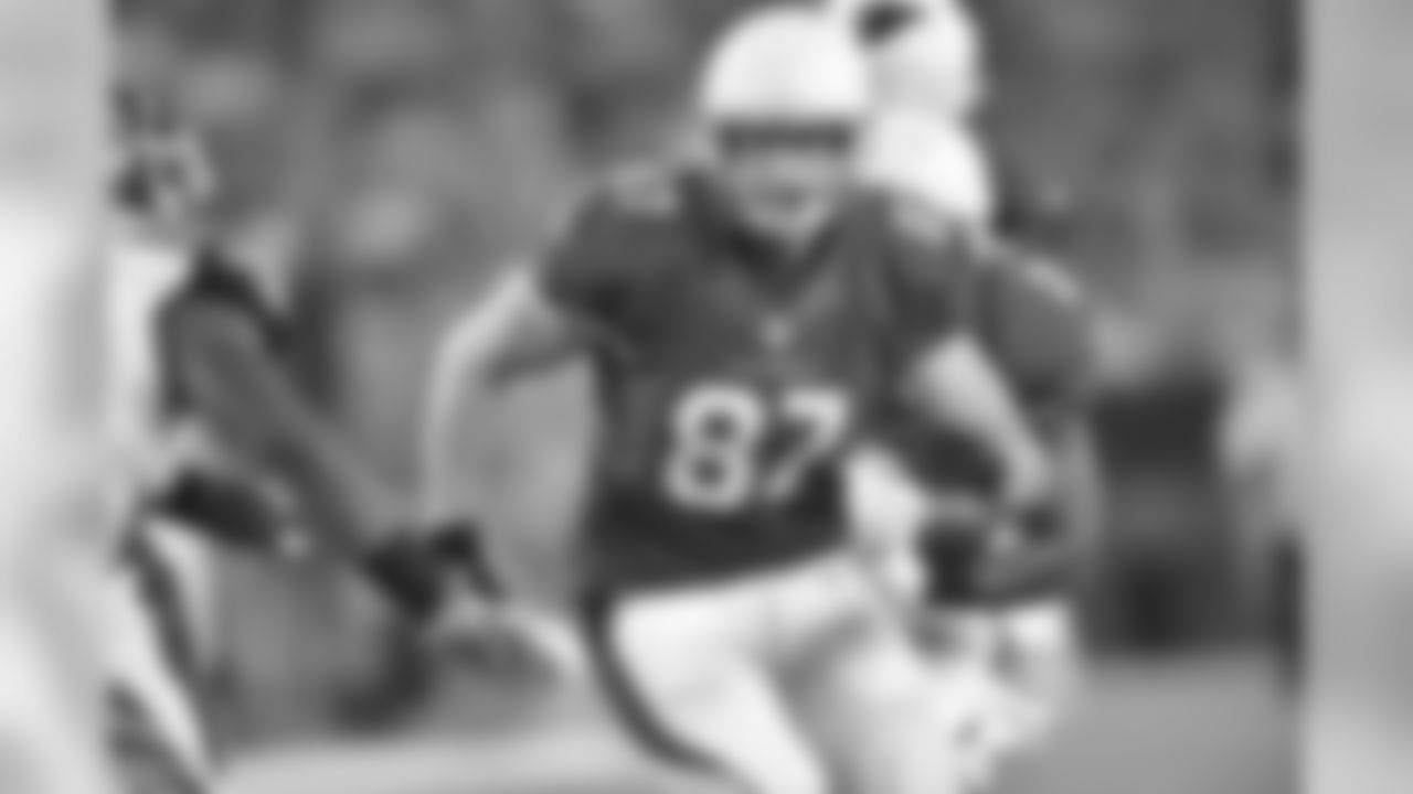 TE Troy Niklas