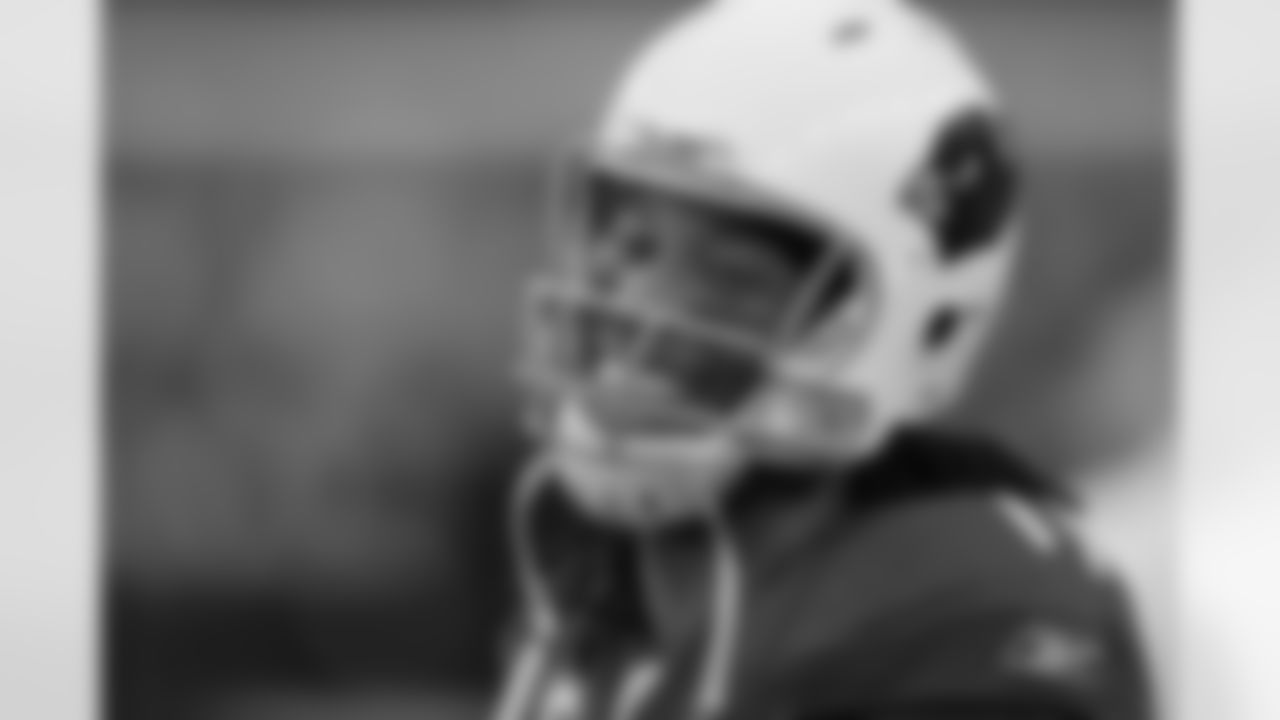 WR Larry Fitzgerald