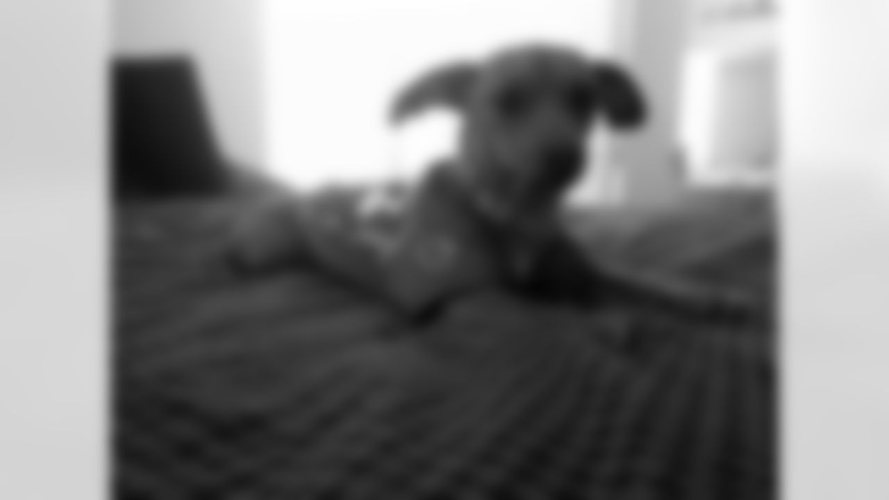 Sammy